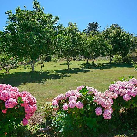 Pension Casa Elena Reinante Luaran gambar