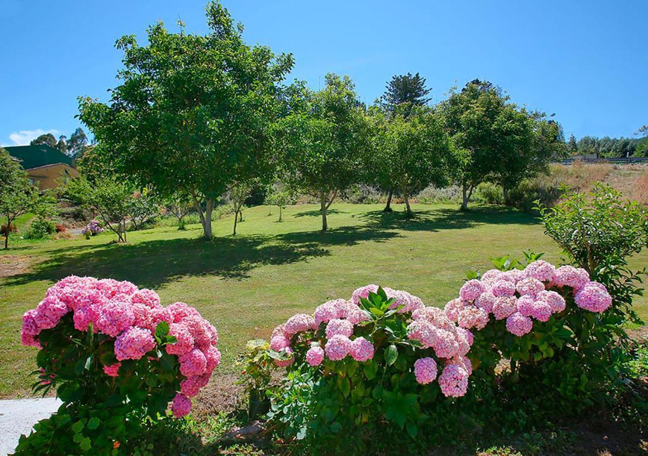 Pension Casa Elena Reinante Luaran gambar