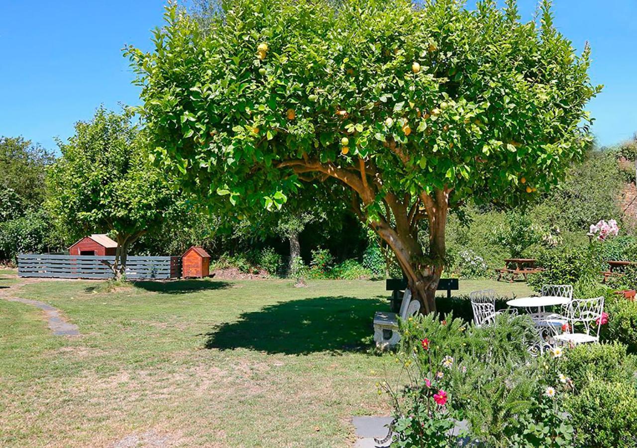 Pension Casa Elena Reinante Luaran gambar